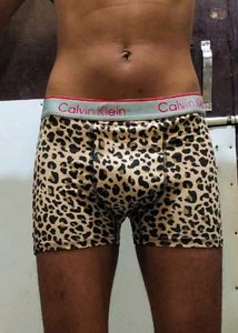 Assorted Men's Briefs Underwears🩲🌻