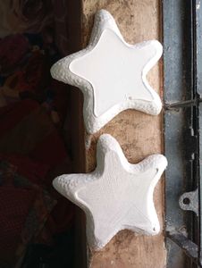 New launched star fish trays x2