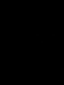 VT1