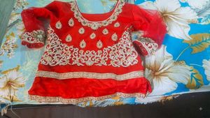 beautiful bright red fish cut heavy bridal lehanga