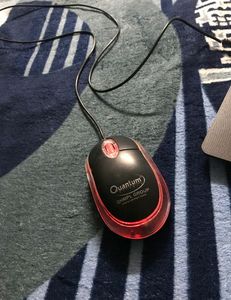 Quantum Mouse