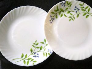 A White Beautiful Lush Green Print Glass Plates