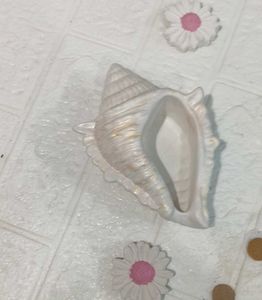 Seashell Ceramic Decorative Bowl/ holder