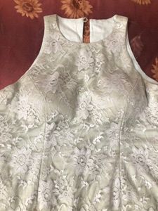Elegant Lace Dress