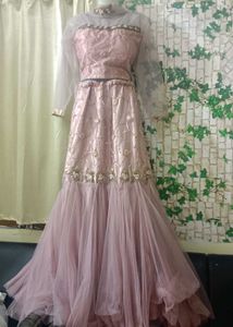 Fishcut  Lehenga Choli