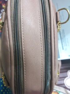 Party Type Purse