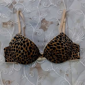 Dolce & Gabbana signature leopard print bra