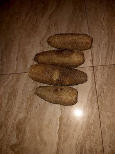 Best Natural Loofah Sponge