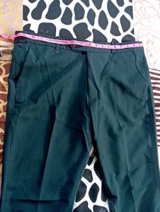 green formal pant