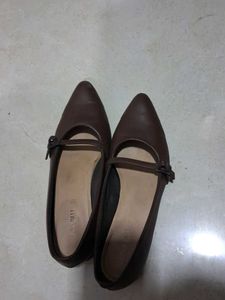 Brown Pointed Toe Flats with Strap