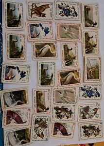 25 Vintage HAITI Bird Stamp Collection