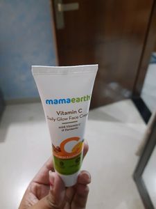 geography class 12 book, face cream, paint brush
