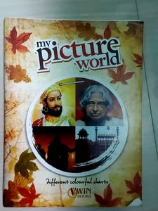 My Picture World
