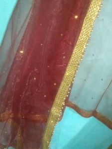 Elegant Dupatta with Gold Border