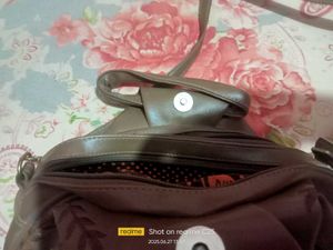 Handbag &amp; Shoulder Bag