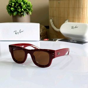 Ray-Ban Sunglasses Tortoiseshell Blue Accents SUNG