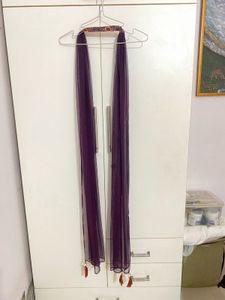 Designer Plazzo set