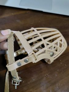 dog Muzzle For Almost An Year Puppy