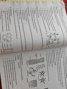 Class Book of Biology for I PUC