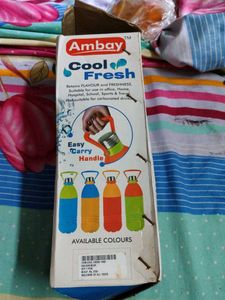 Insulated Water Bottle