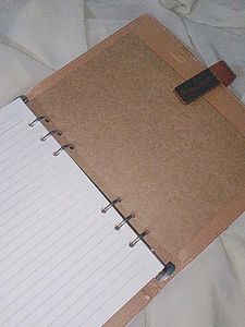 Professional Medical Journal