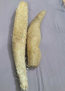 Natural Loofah Sponges (Set of 2)