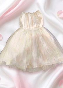 CUTE 💮TULLE DRESS