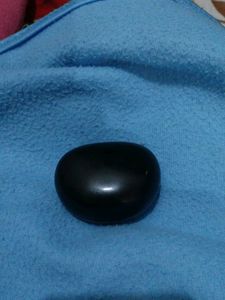 zebronic ear bird