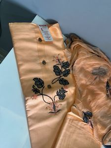 Elegant Peach Kurta Set
