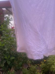 Simple White T-Shirt