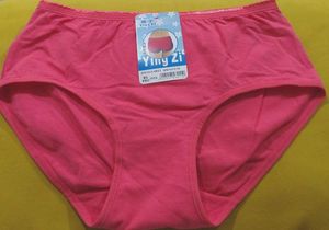 3003 -- soft cotton back cover panty