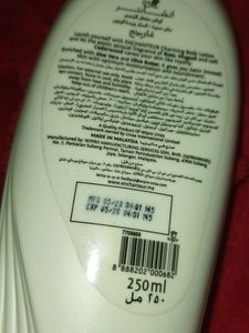 Body Lotion🧴