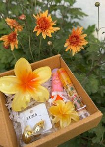 Cute Flower Hair Clips &amp; Lip Gloss Set