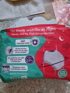 Evereve Overnight Period Panties
