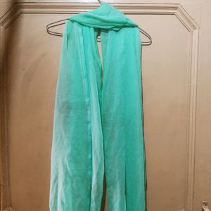 Sea Green Dupatta/stole
