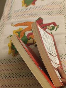Diary of a Wimpy Kid Books (2)