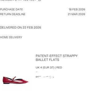 Zara Mary Jane flats