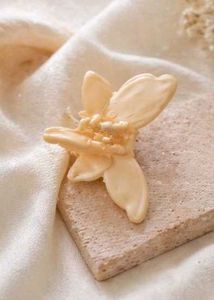 Cute Butterfly Hair Claw Clip