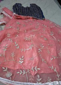 Designer Lehenga Choli Set