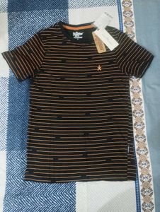 Roadster Striped Tshirt For Men