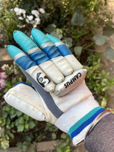Campus Cricket Batting Gloves