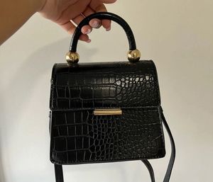 ALDO Mini handbag