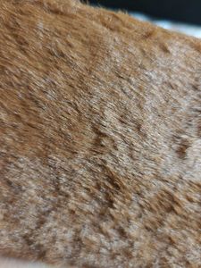 Cute Furry Cat Pouch