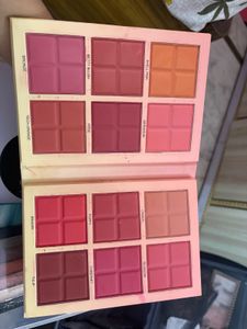 12 Color Blush Palette