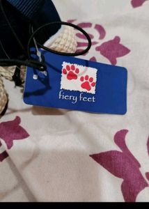 Navy Blue 'Fiery Feet' Sneakers