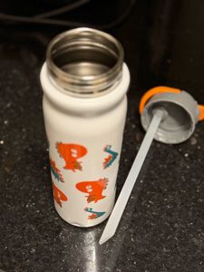 Dinosaur Water Bottle