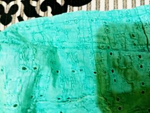 Blue Chikenkari Blouse