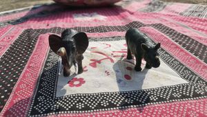 Hard Animal Toys