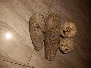 Best Natural Loofah Sponge