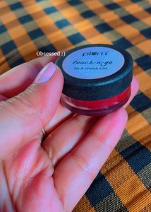 Plum Touch-n-Go Lip &amp; Cheek Tint
